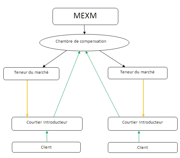 Mex Clearing